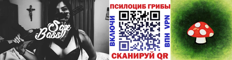 Псилоцибиновые грибы Magic Shrooms  кракен ССЫЛКА  Хабаровск 